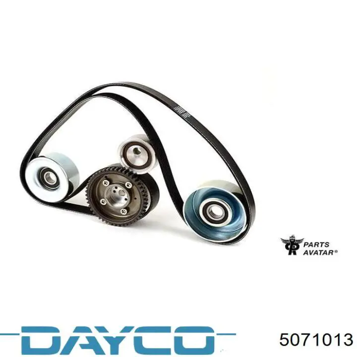 5071013 Dayco correa trapezoidal