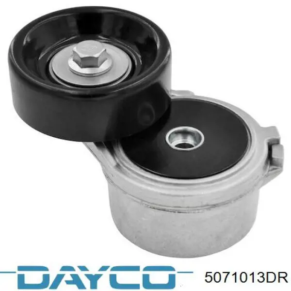K53032132AK Fiat/Alfa/Lancia Correa poly v
