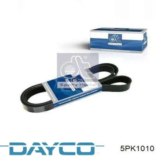 5PK1010 Dayco correa trapezoidal