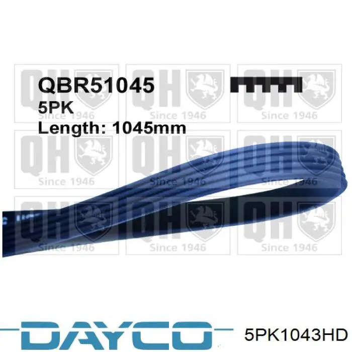 5PK1045 Continental/Siemens Correa poly v