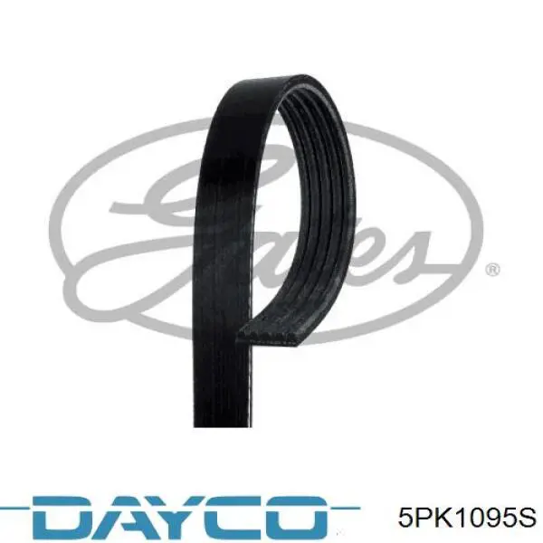 5PK1095S Dayco correa trapezoidal