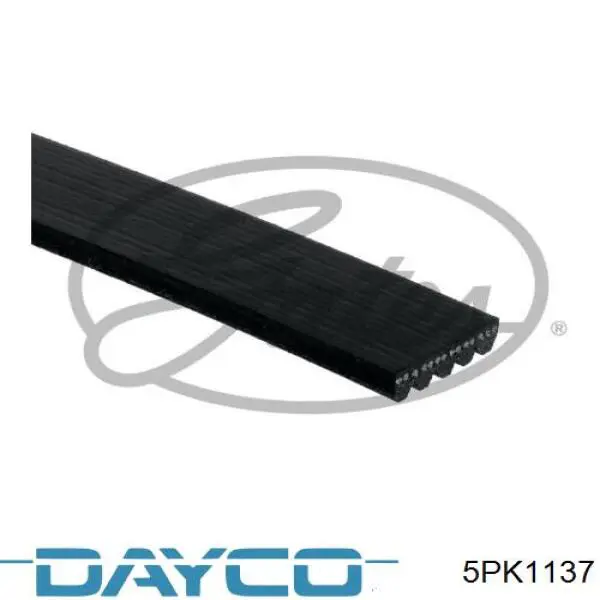 Comprar 5PK1137 Dayco Correa trapezoidal
