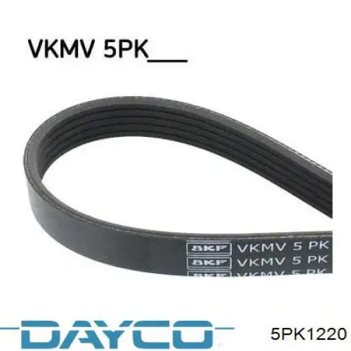 Correa de transmisión trapezoidal Dayco 5PK1220 precio, desde 7,77 EUR