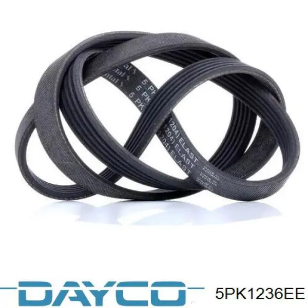 Correa de transmisión trapezoidal Dayco 5PK1236EE precio, desde 29,42 EUR
