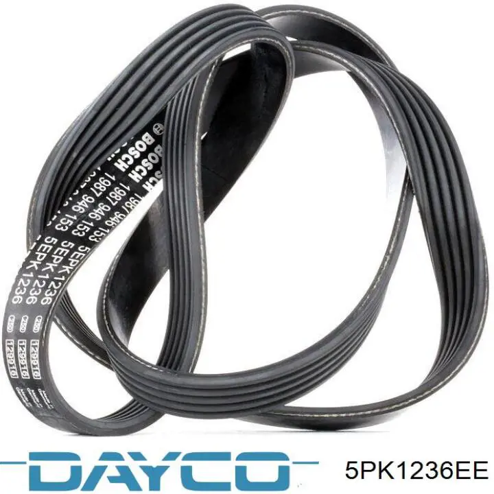 Comprar 5PK1236EE Dayco Correa trapezoidal