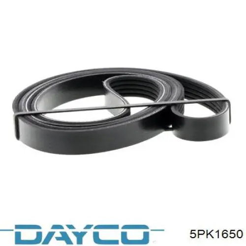 Correa de transmisión trapezoidal Dayco 5PK1650 precio, desde 14,03 EUR
