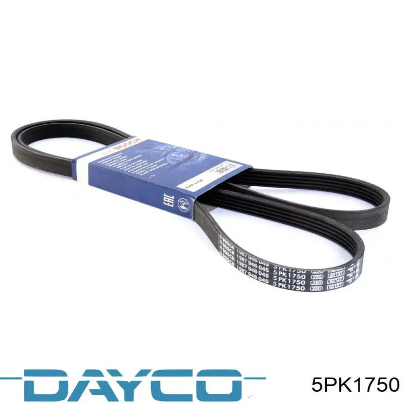 Correa de alternador 5PK1750 Dayco