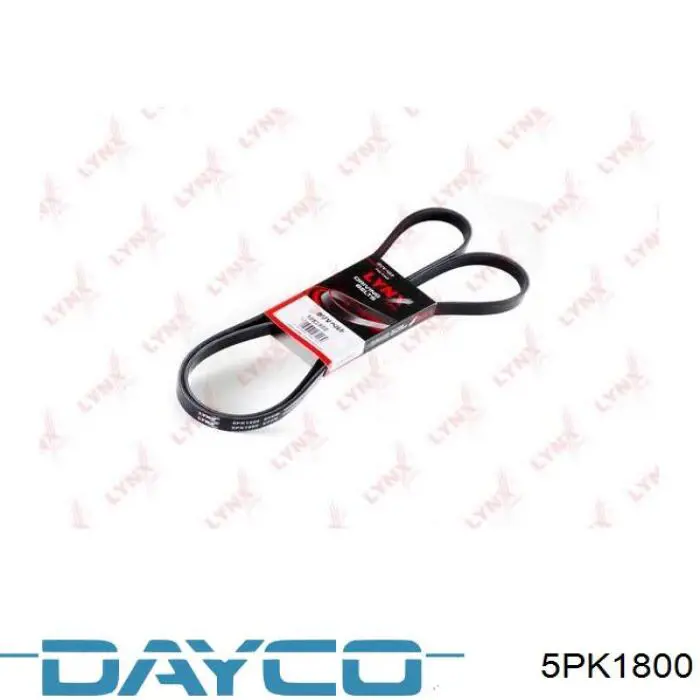 Comprar 5PK1800 Dayco Correa trapezoidal