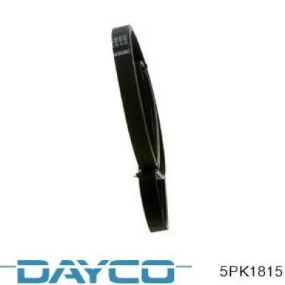 Comprar 5PK1815 Dayco Correa trapezoidal