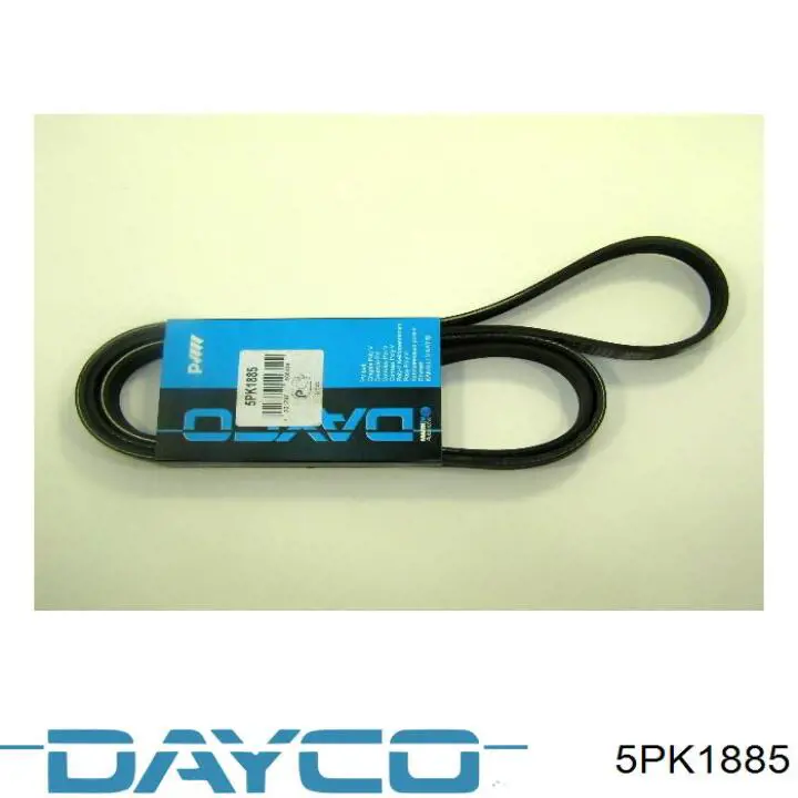 Correa de transmisión trapezoidal Dayco 5PK1885 precio, desde 27,02 EUR