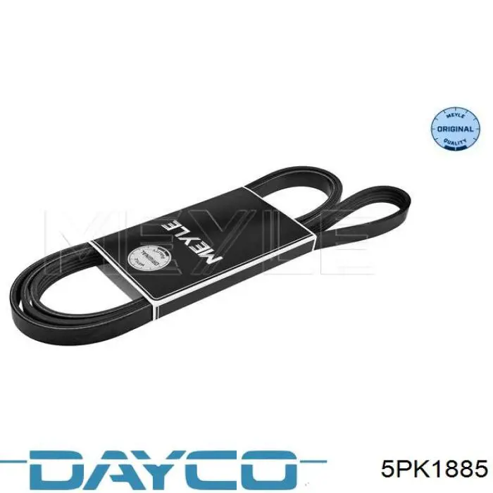 Comprar 5PK1885 Dayco Correa trapezoidal