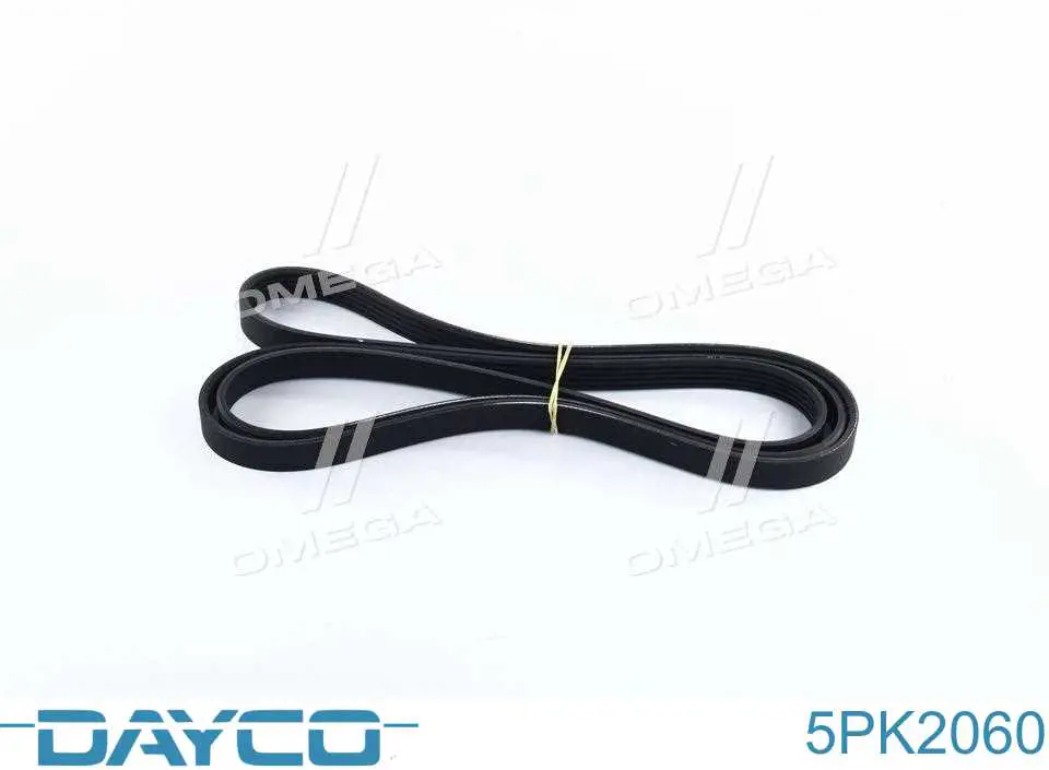 Correa de transmisión trapezoidal Dayco 5PK2060 precio, desde 40,33 EUR