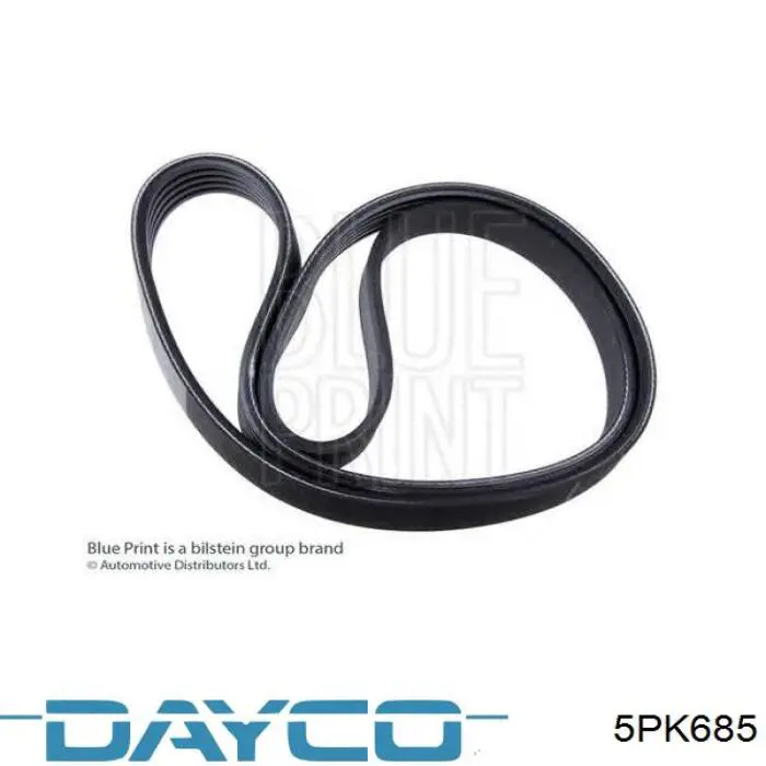5PK685 Dayco Correa poly v
