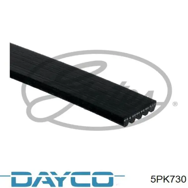 Correa de transmisión trapezoidal Dayco 5PK730 precio, desde 9,23 EUR
