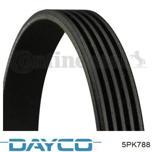 Comprar 5PK790 Continental/Siemens Correa trapezoidal