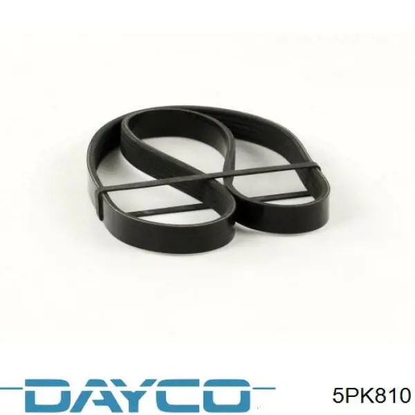 Comprar 5PK810 Dayco Correa trapezoidal