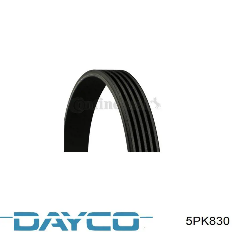Correa de transmisión trapezoidal Dayco 5PK830 precio, desde 19,37 EUR