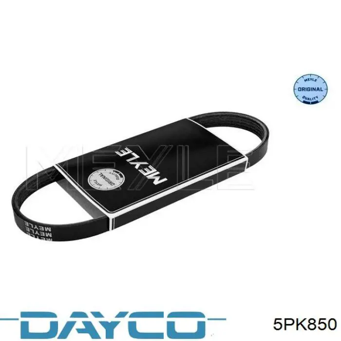 5PK850 Dayco Correa poly v