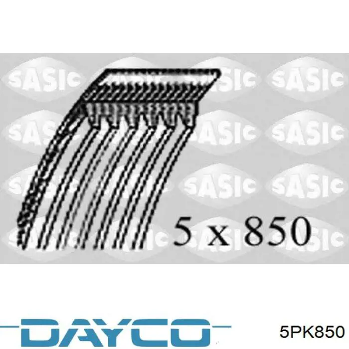 Correa de transmisión trapezoidal Dayco 5PK850 precio, desde 12,52 EUR