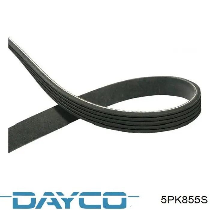 5PK855S Dayco correa trapezoidal