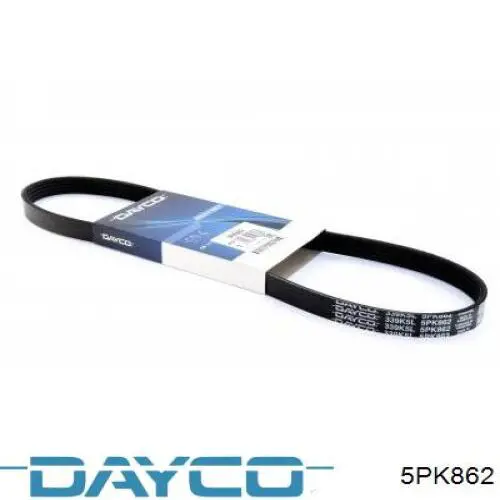 Correa de transmisión trapezoidal Dayco 5PK862 precio, desde 20,26 EUR