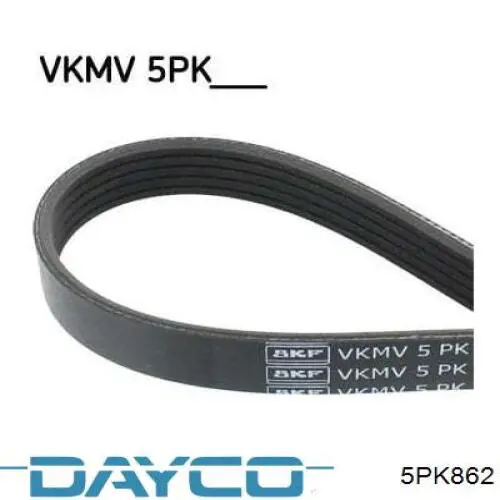 Comprar 5PK862 Dayco Correa trapezoidal