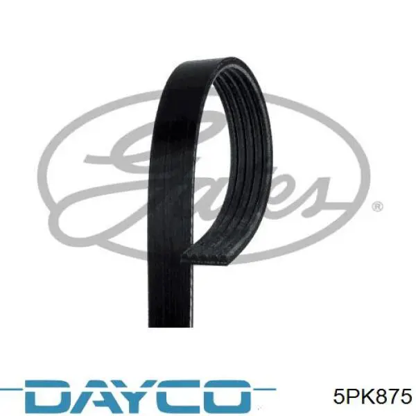 Comprar 5PK875 Dayco Correa trapezoidal