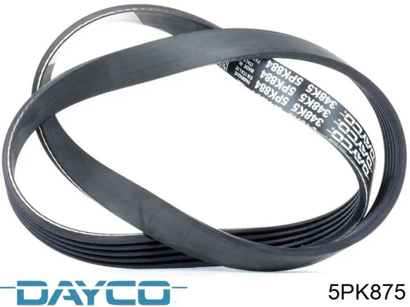 Correa de transmisión trapezoidal Dayco 5PK875 precio, desde 13,56 EUR