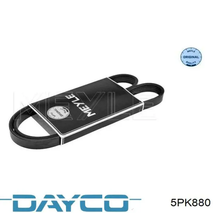 Correa de transmisión trapezoidal Dayco 5PK880 precio, desde 17,84 EUR