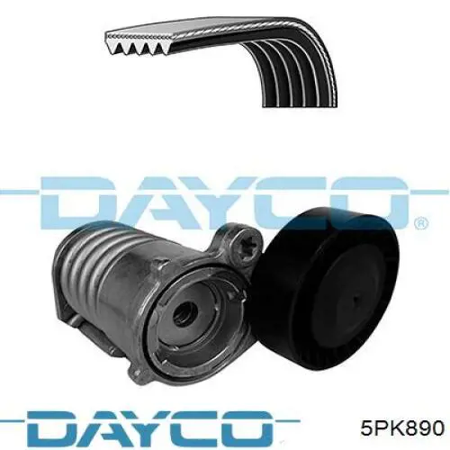 Correa de transmisión trapezoidal Dayco 5PK890 precio, desde 18,50 EUR