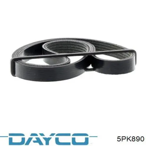 Comprar 5PK890 Dayco Correa trapezoidal