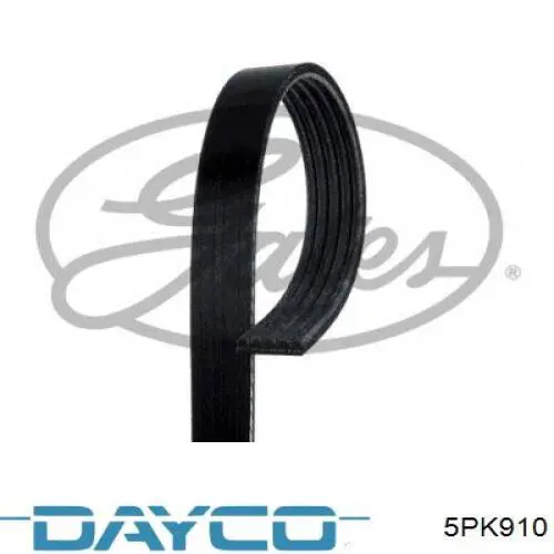 Correa de transmisión trapezoidal Dayco 5PK910 precio, desde 15,63 EUR