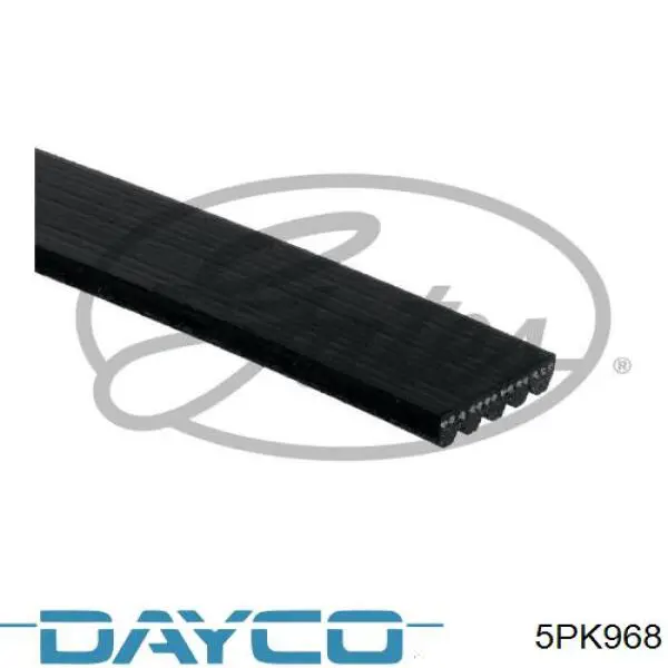 Correa de transmisión trapezoidal Dayco 5PK968 precio, desde 20,90 EUR