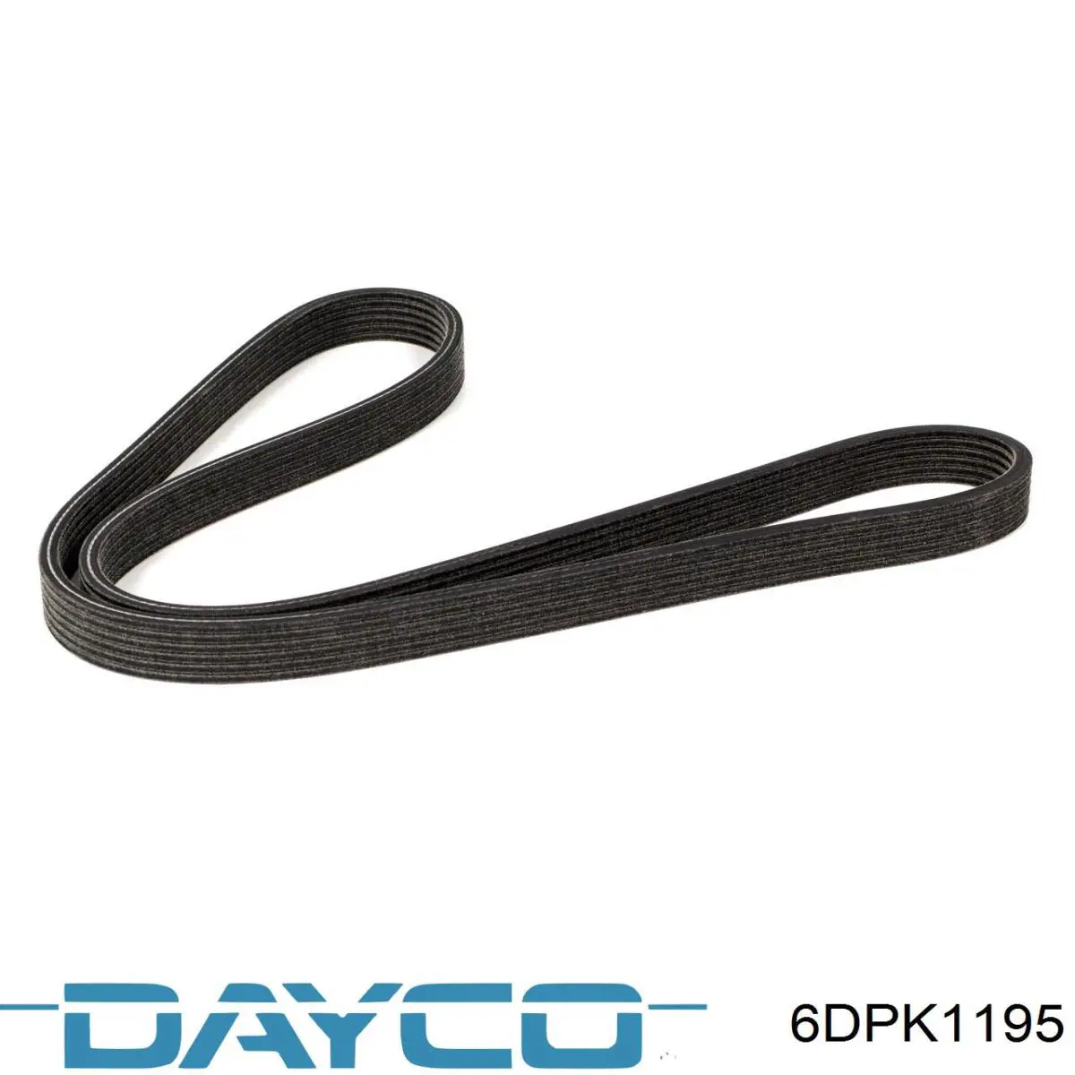 6DPK1195 Dayco Correa poly v