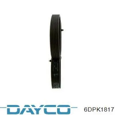 Correa de alternador 6DPK1817 Dayco