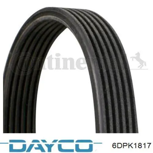 Correa de transmisión trapezoidal Dayco 6DPK1817 precio, desde 66,04 EUR