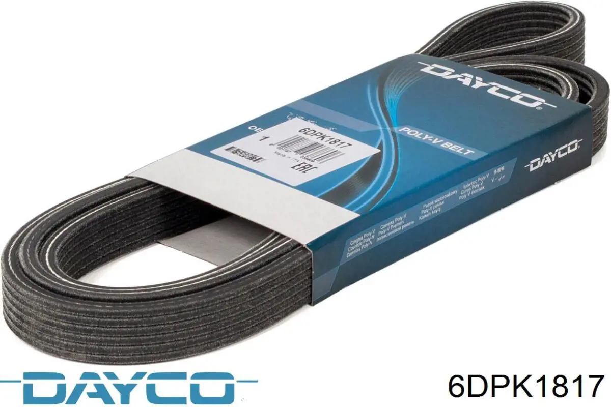 6DPK1817 Dayco Correa poly v