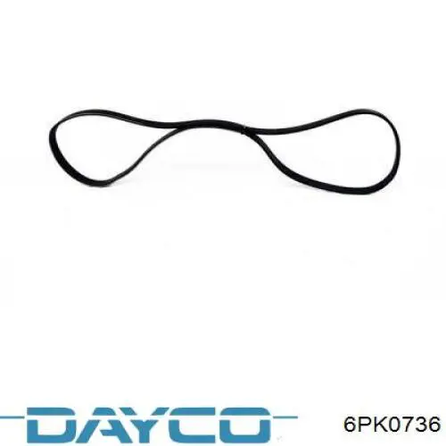 6PK0736 Dayco correa trapezoidal