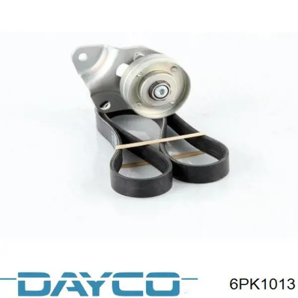 Comprar 6PK1013 Dayco Correa trapezoidal