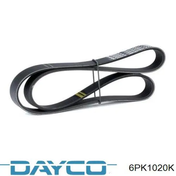 Correa de transmisión trapezoidal Dayco 6PK1020K precio, desde 22,49 EUR