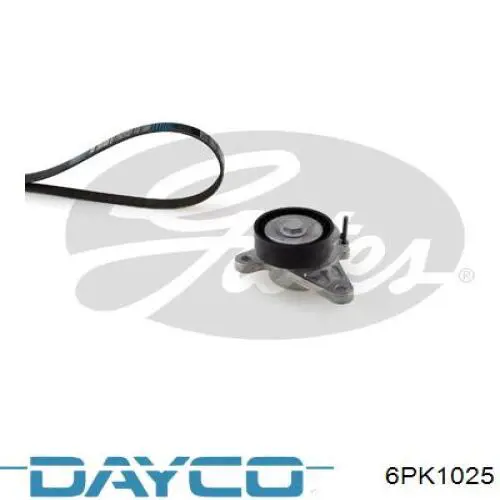 Correa de transmisión trapezoidal Dayco 6PK1025 precio, desde 22,23 EUR