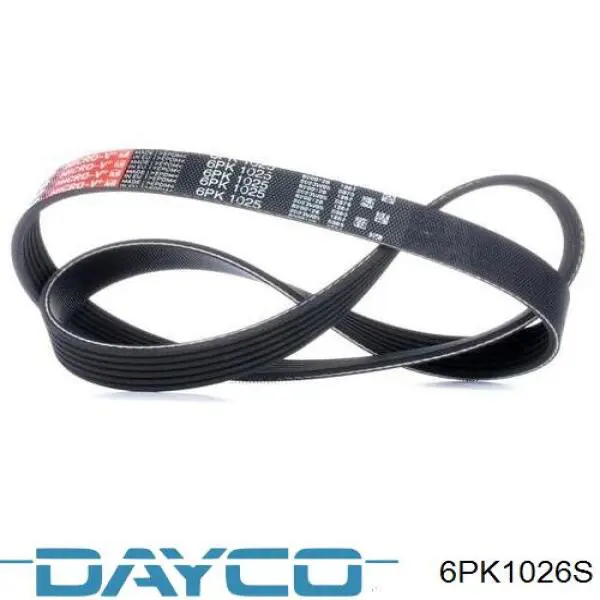 Correa accesorios Dayco 6PK1026S