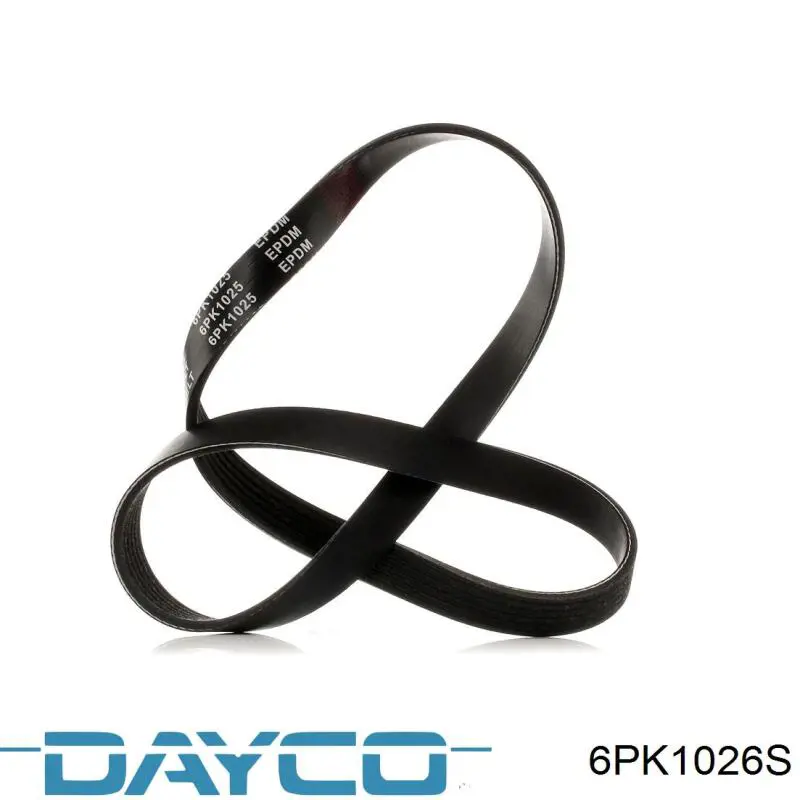 Correa de transmisión trapezoidal Dayco 6PK1026S precio, desde 22,23 EUR