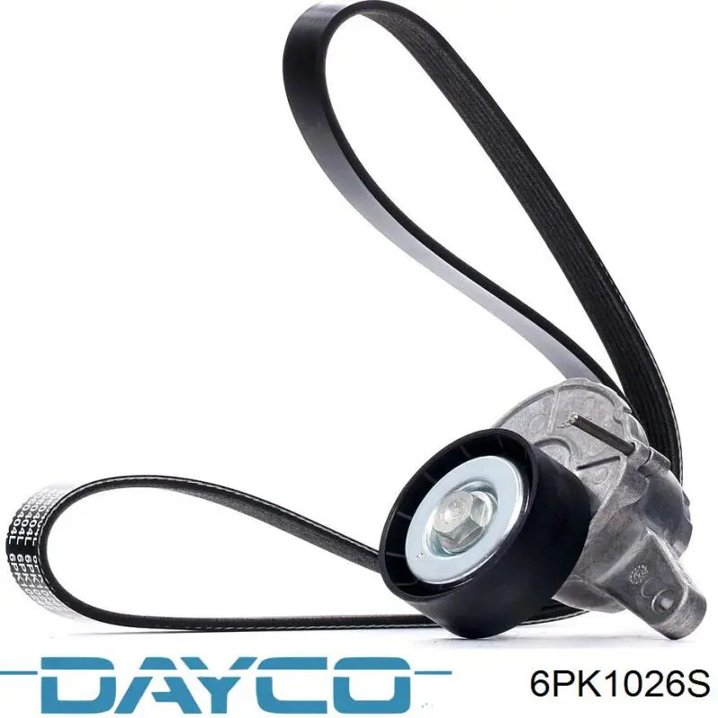 Correa de alternador 6PK1026S Dayco