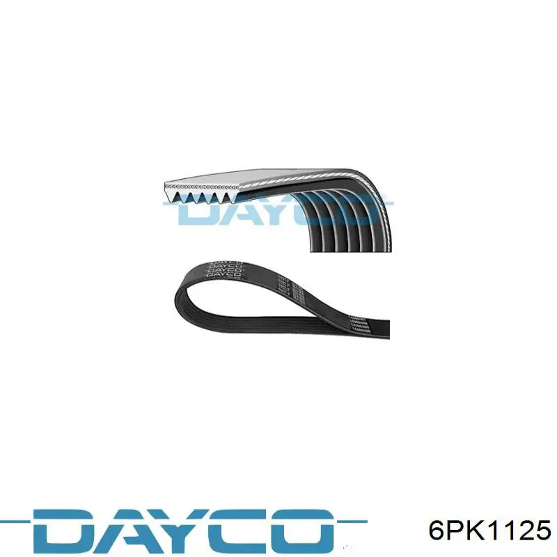 Comprar 6PK1125 Dayco Correa trapezoidal