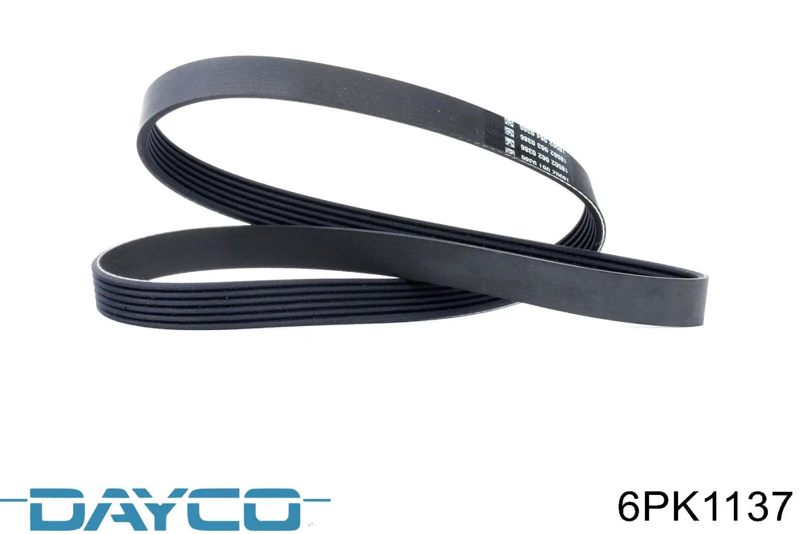 Comprar 6PK1137 Dayco Correa trapezoidal