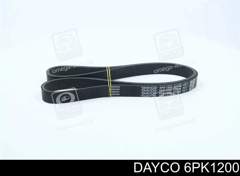 Comprar 6PK1200 Dayco Correa trapezoidal