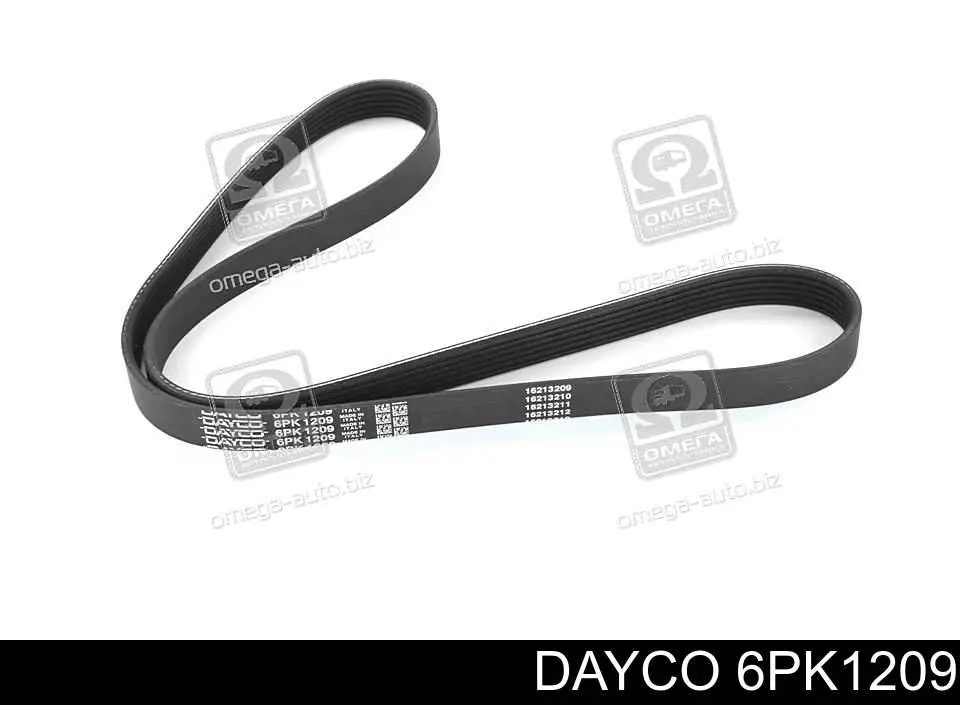 Comprar 6PK1209 Dayco Correa trapezoidal