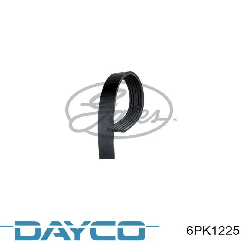 Comprar 6PK1225 Dayco Correa trapezoidal