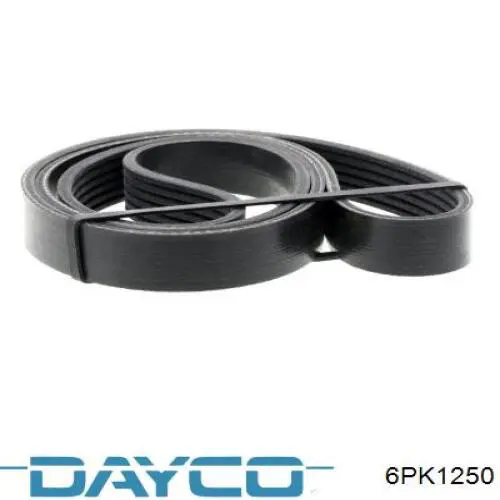 6PK1250 Dayco Correa poly v